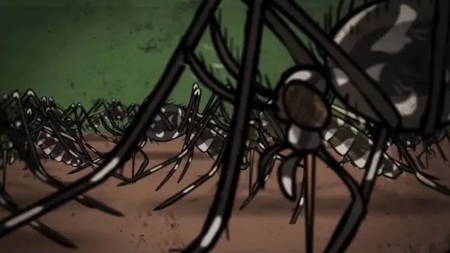 Mückenalarm – Invasion der Plagegeister – arte